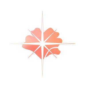 100x100