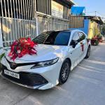 Đừng Chọn Hoa Tươi Trang Trí Xe Cưới Nếu Bạn Chưa Biết 3 "Rủi Ro" Này